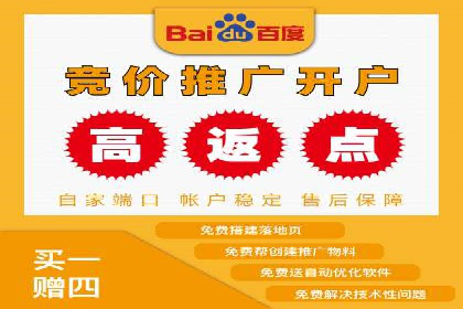 百度推广费用策略在竞争激烈市场的应用案例
